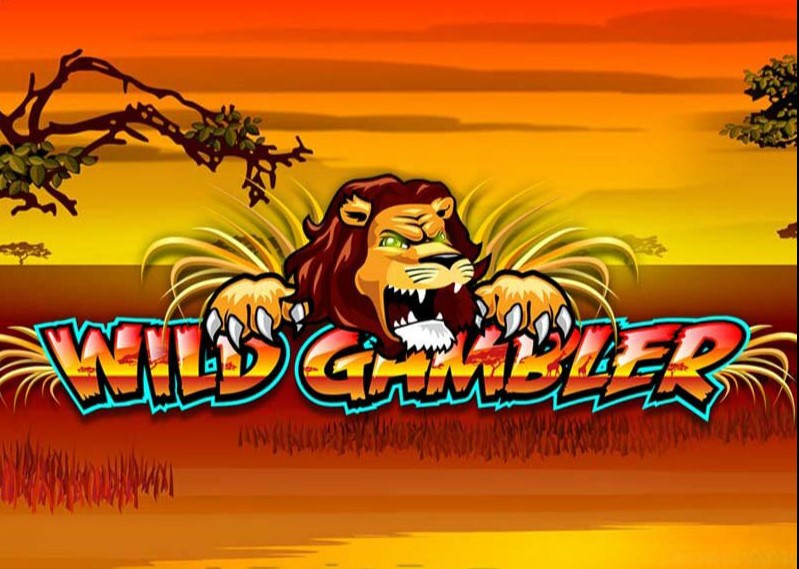 The Wild Gambler